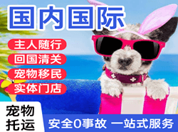 天水麦积山空运代理国际宠物托运 【国